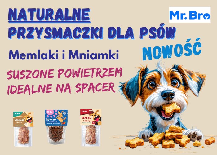 ZOBACZ CO U NAS!